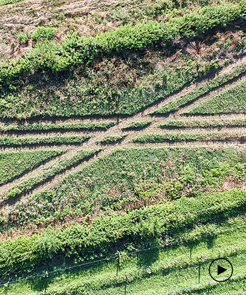 'cover crop' is a socially-distanced art installation at queens county farm in new york