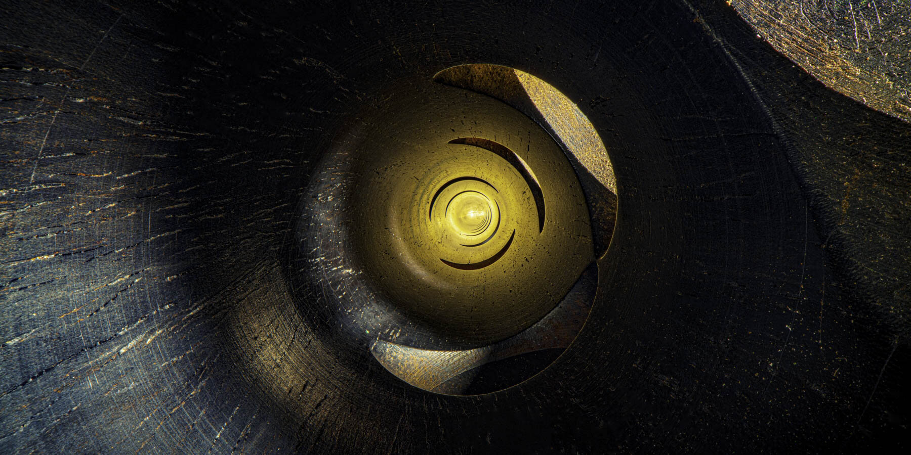 charles-brooks-photographs-interiors-classical-musical-instruments-designboom-4