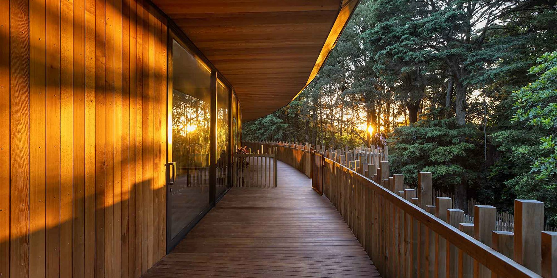 gaia-earth-forest-preschool-designboom-1800-2