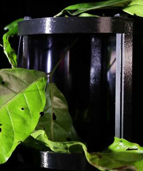 sabine marcelis’ 3D printed case made of recycled rock collects live insects for bioresearch