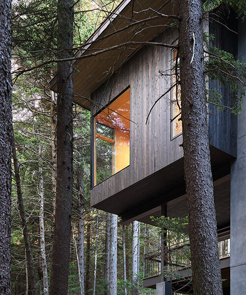 two cantilevered boxes of dark cedar shape altura architects' spruce ridge cabin