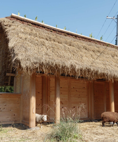studio 2m26 shapes wooden sheep house in kyoto with rice straws and sewn bamboo nets