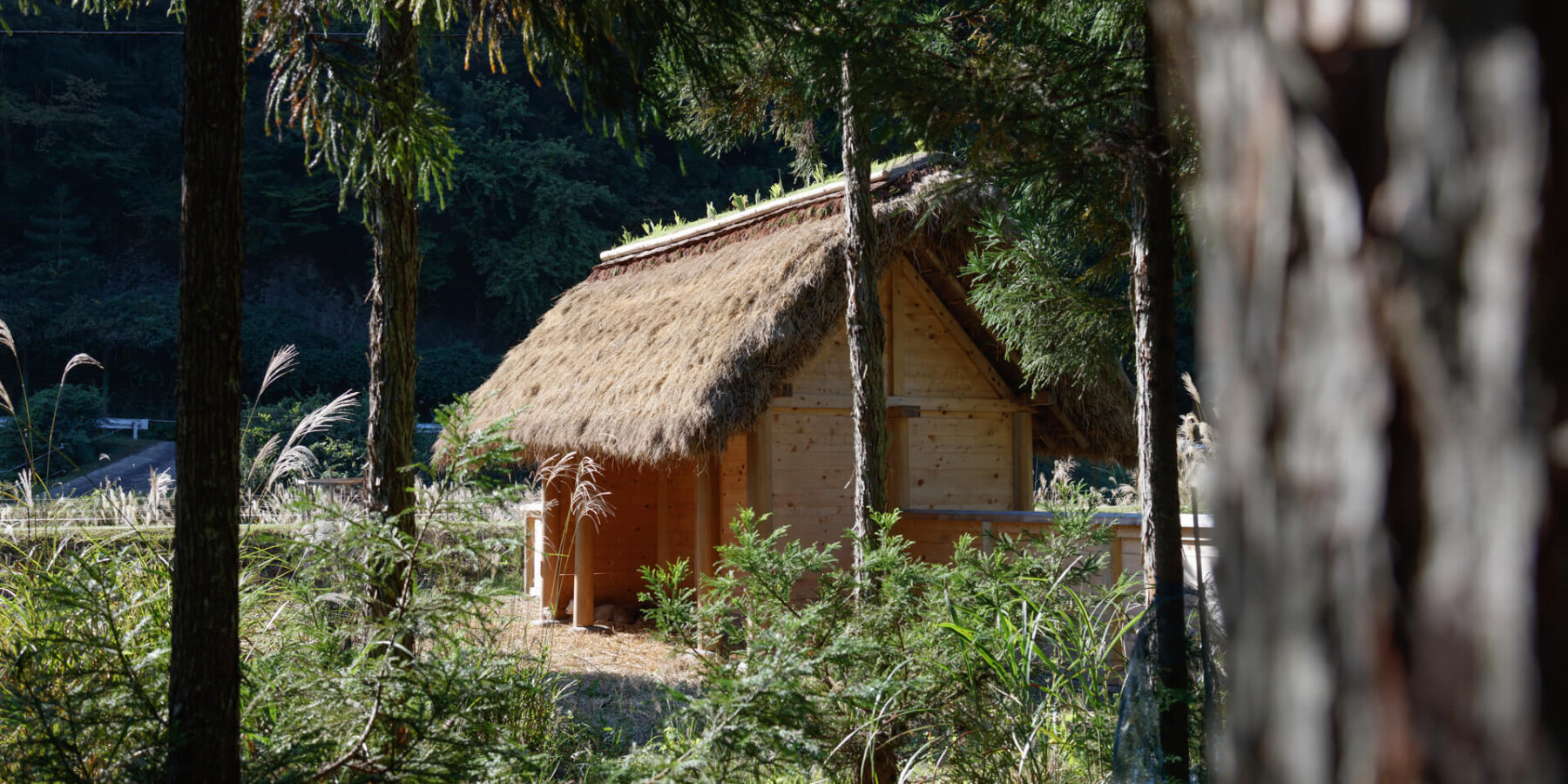 studio-2m26-roof-japanese-sheep-house-kyoto-rice-straws-bamboo-nets-designboom-ban3