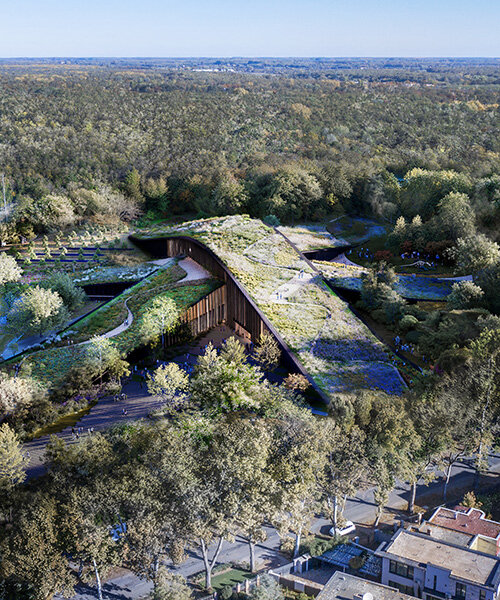 BIG conceives hungarian natural history museum as sculpted forest landscape in debrecen
